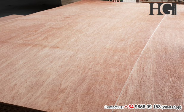 Vietnam Commercial Plywood